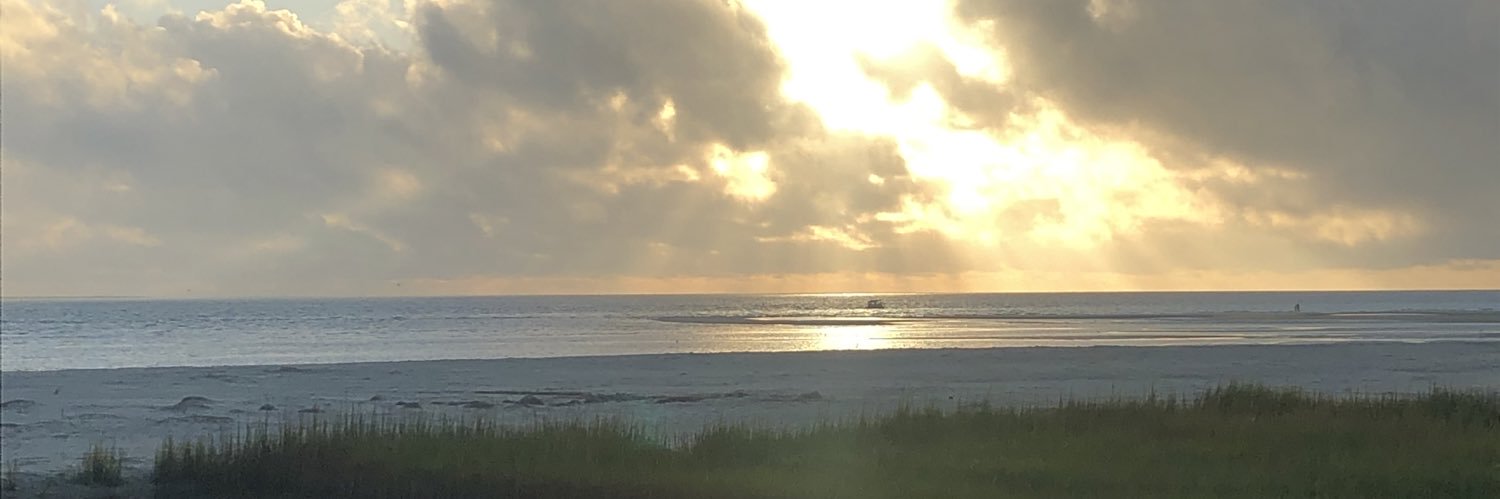 DianaSullivanRN's profile banner image