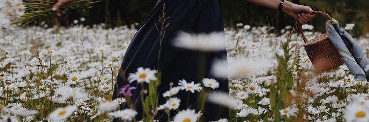 HessaKJ's profile banner image