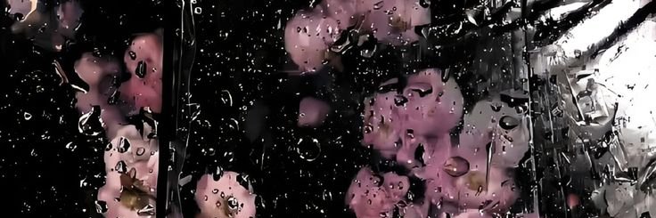 iii50100's profile banner image