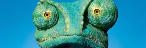 tweetsfromicey Profile Banner