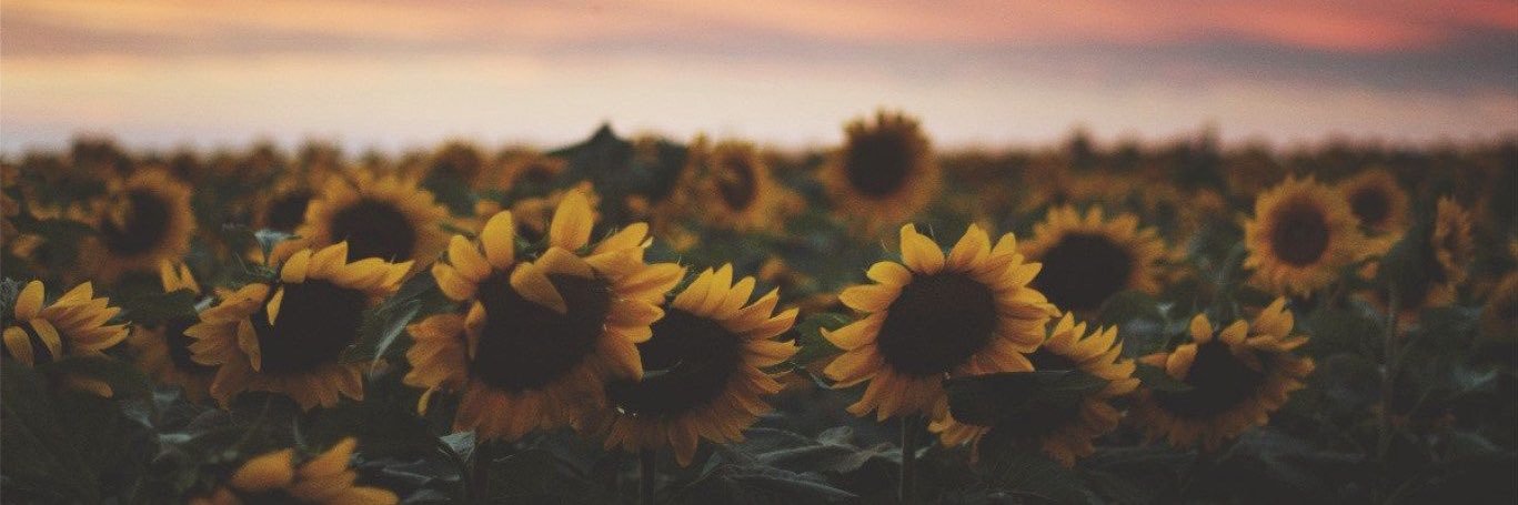 sarajb34's profile banner image