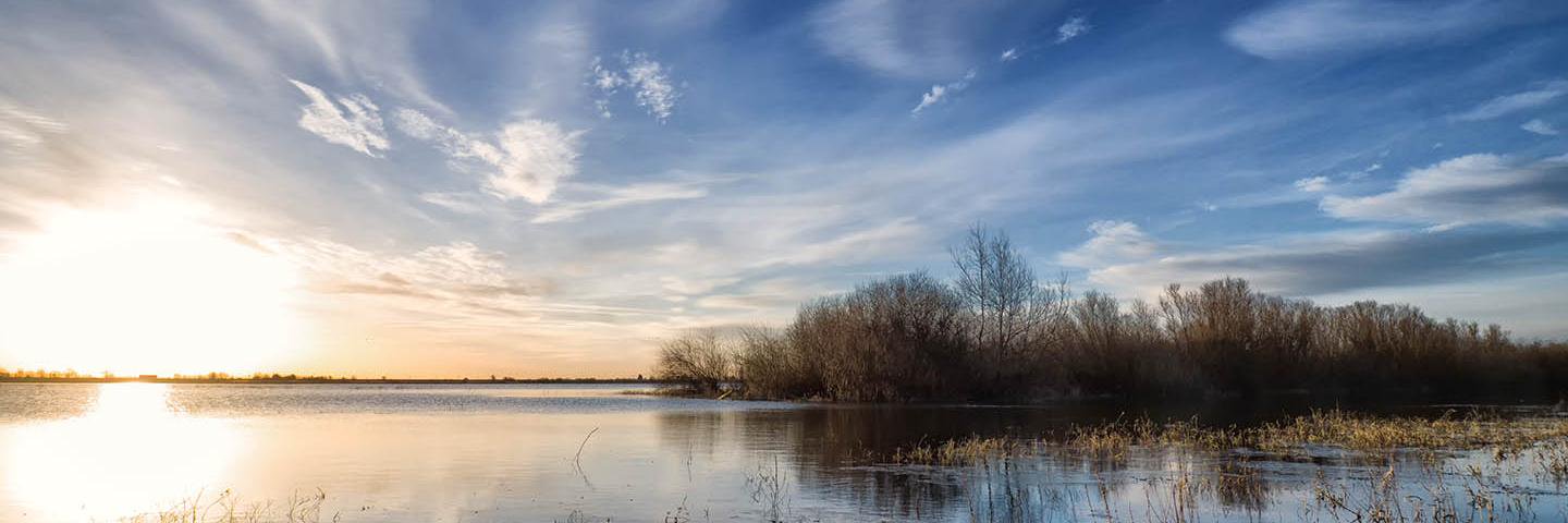 Ouse Washes LP banner