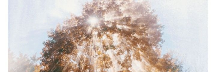 JC_Maria_'s profile banner image