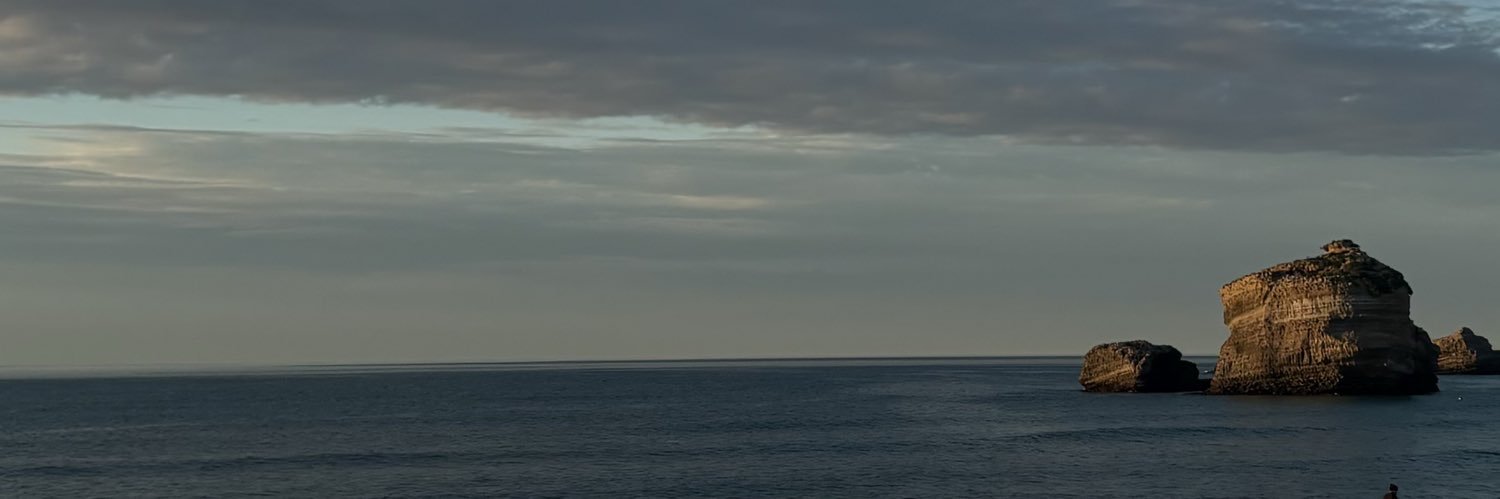 Catalina Ballesteros banner