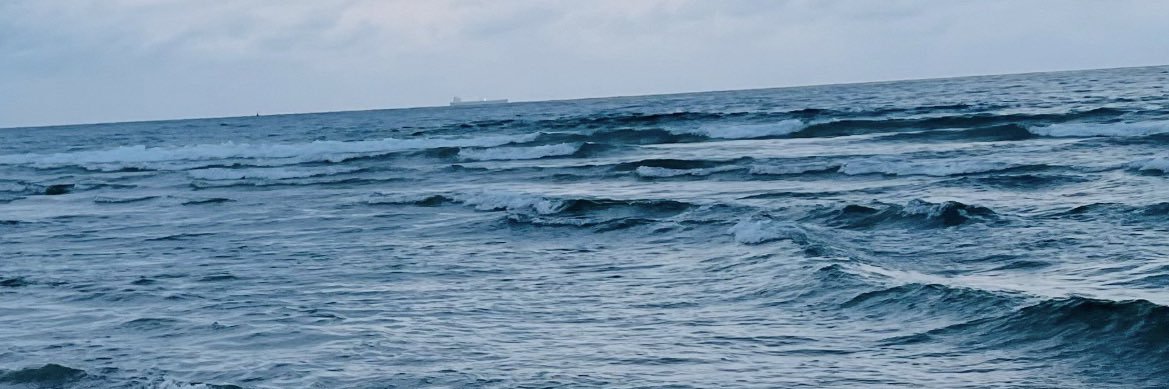 churry banner