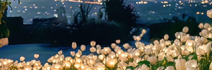 gjpeds's profile banner image
