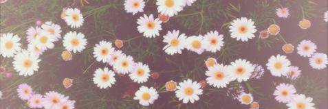 _KimHyo_'s profile banner image