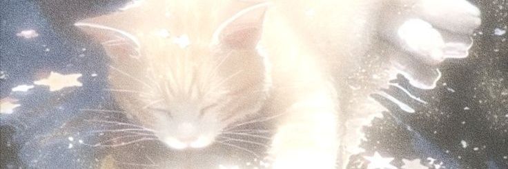 Naka's banner