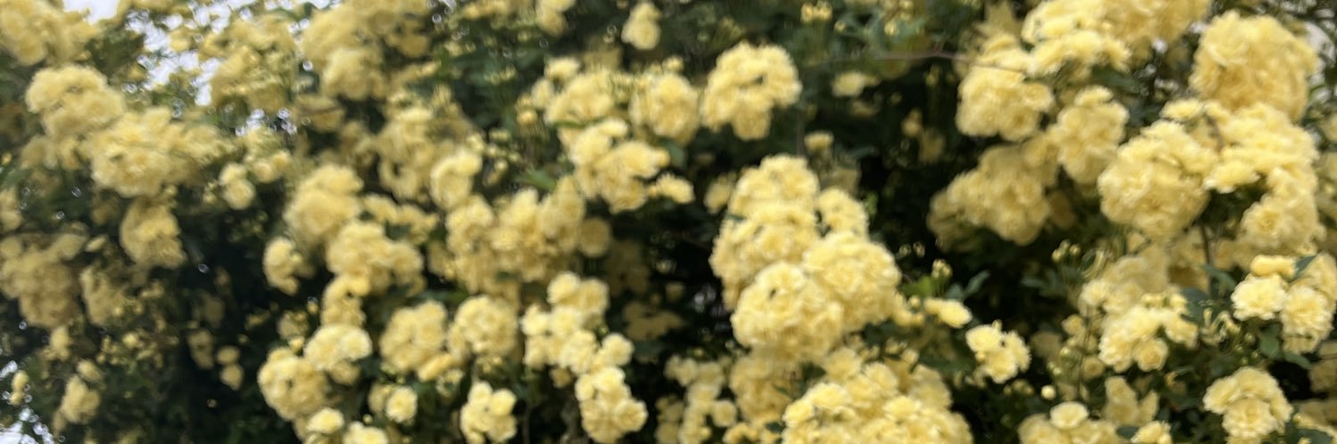 ami_go_away's profile banner image