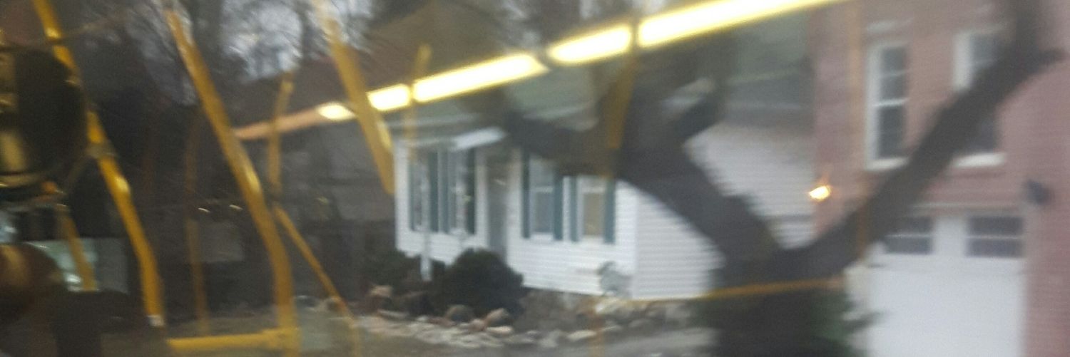 mskellyL's profile banner image