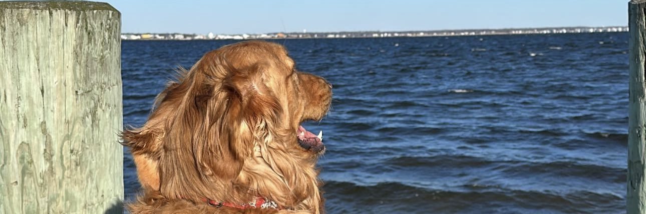 kburtttt's profile banner image