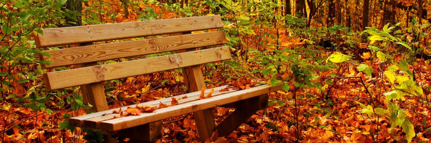 S. JANINA HAC banner