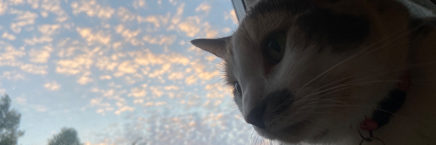 samiisparkles's profile banner image