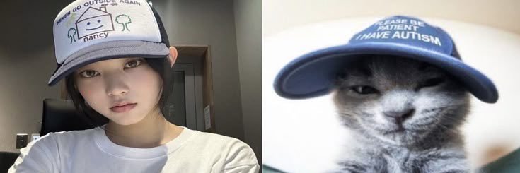 Peter | FreeMHDHH:D banner