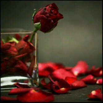 sama_dxb's profile banner image