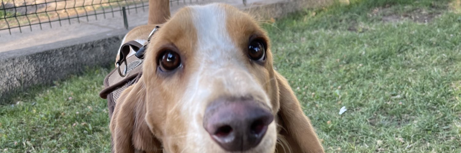 lombable's profile banner image