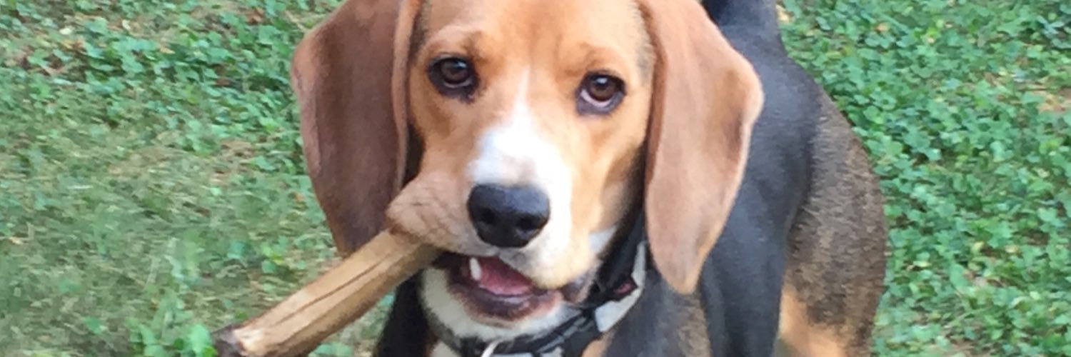 Manuel Sgarella banner