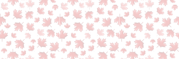 nsducharme Profile Banner