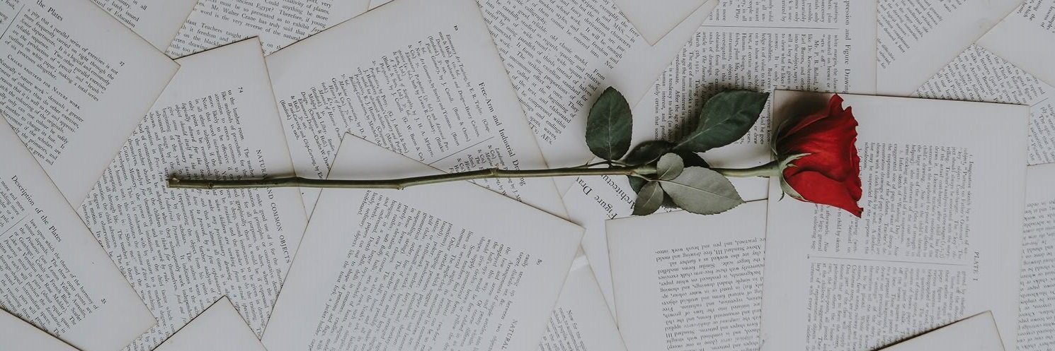 Zeynep Başkan banner