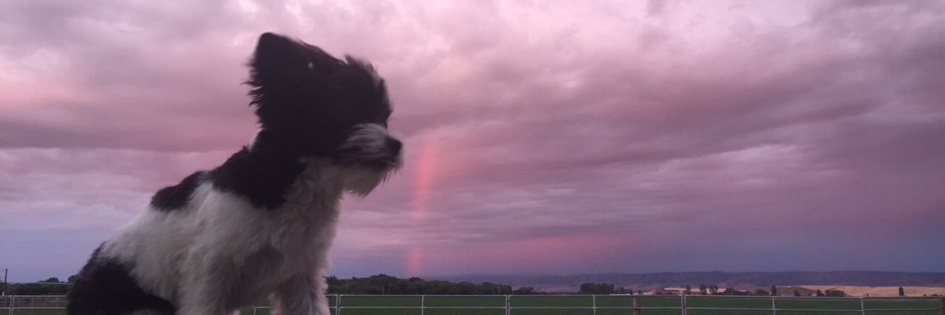 Jaiden_2's profile banner image