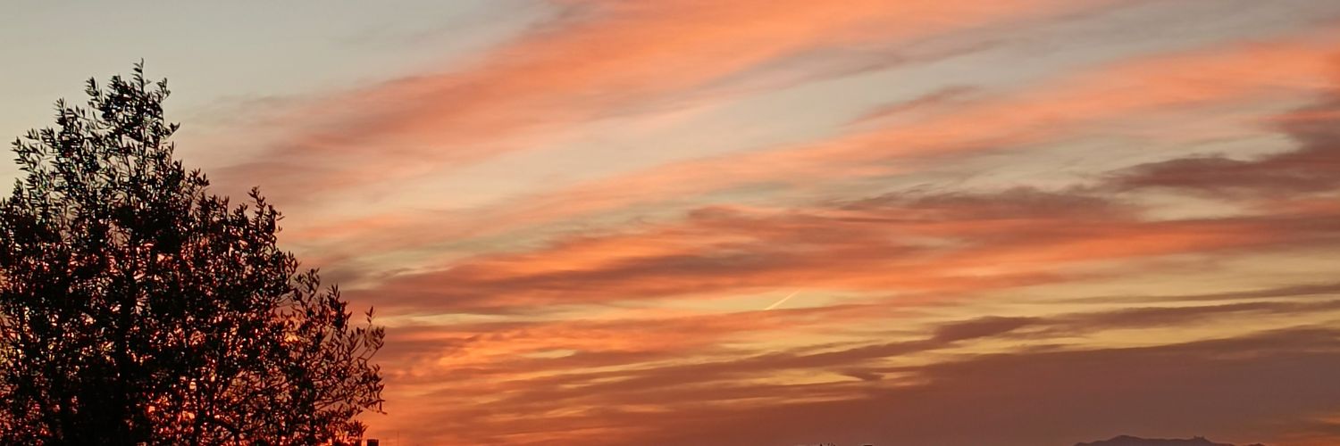 gustavomirandaa's profile banner image