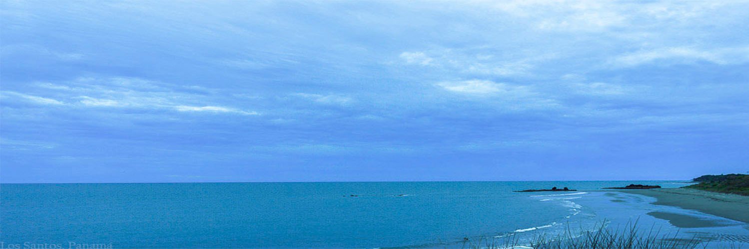 JorgeLTroya's profile banner image