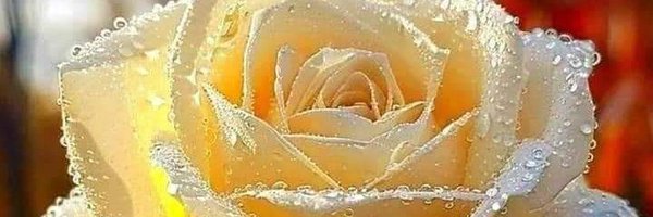 __FB___ Profile Banner