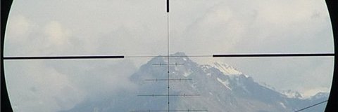 sfor81's profile banner image