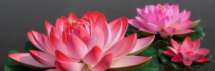 Tsubasa_RenOC's profile banner image
