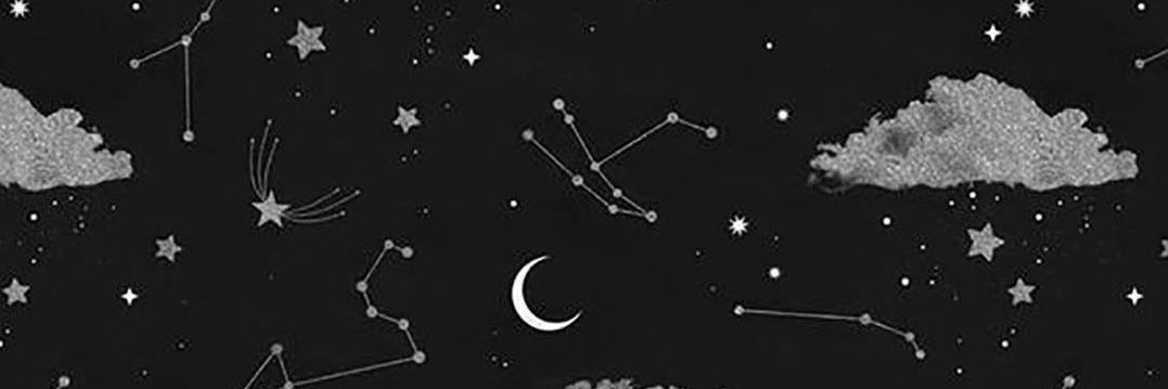 strawberryskiwi's profile banner image