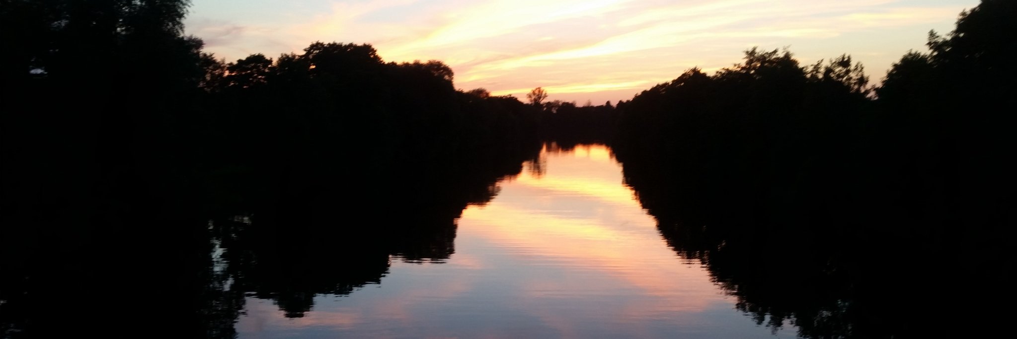 gelbe_ruebe's profile banner image