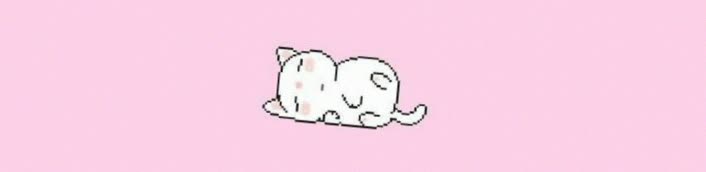 softbunny89's profile banner image