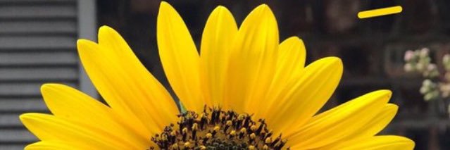 vincentblattner's profile banner image