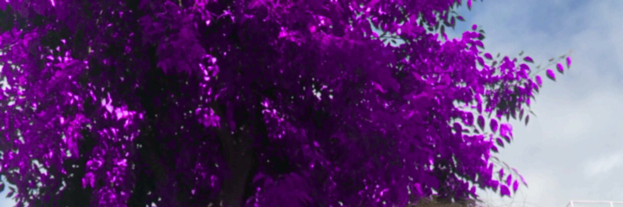 Yasinguleer's profile banner image