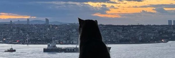 BosphorusNews Profile Banner