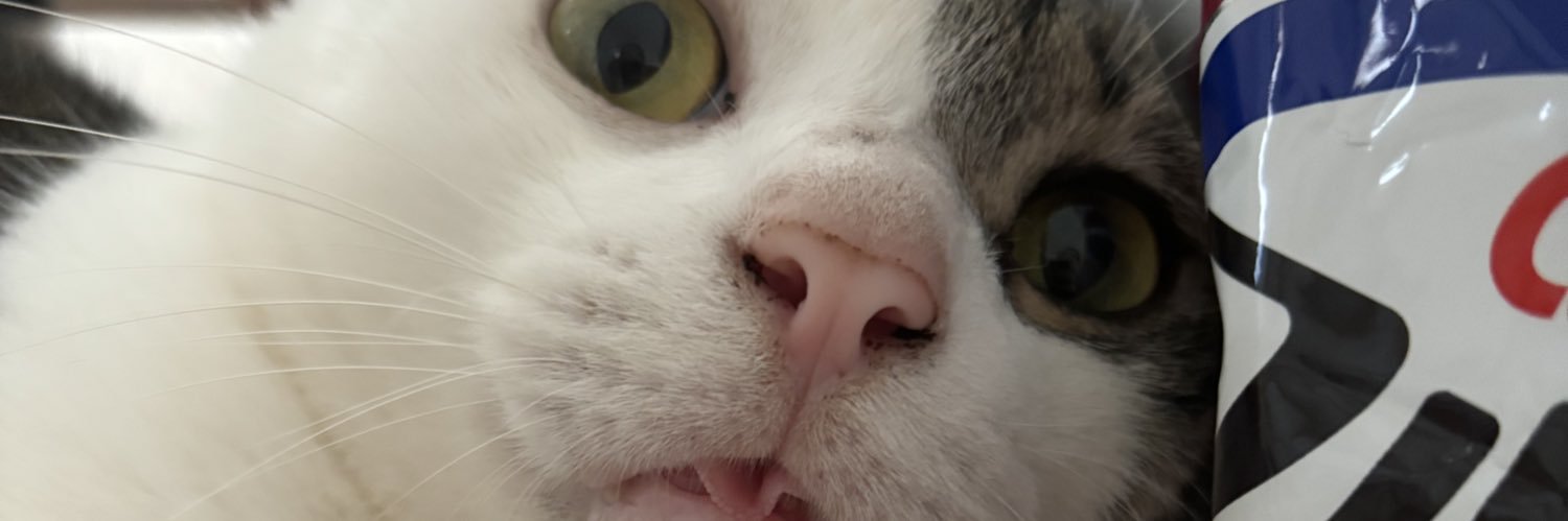 ばさしゅ banner