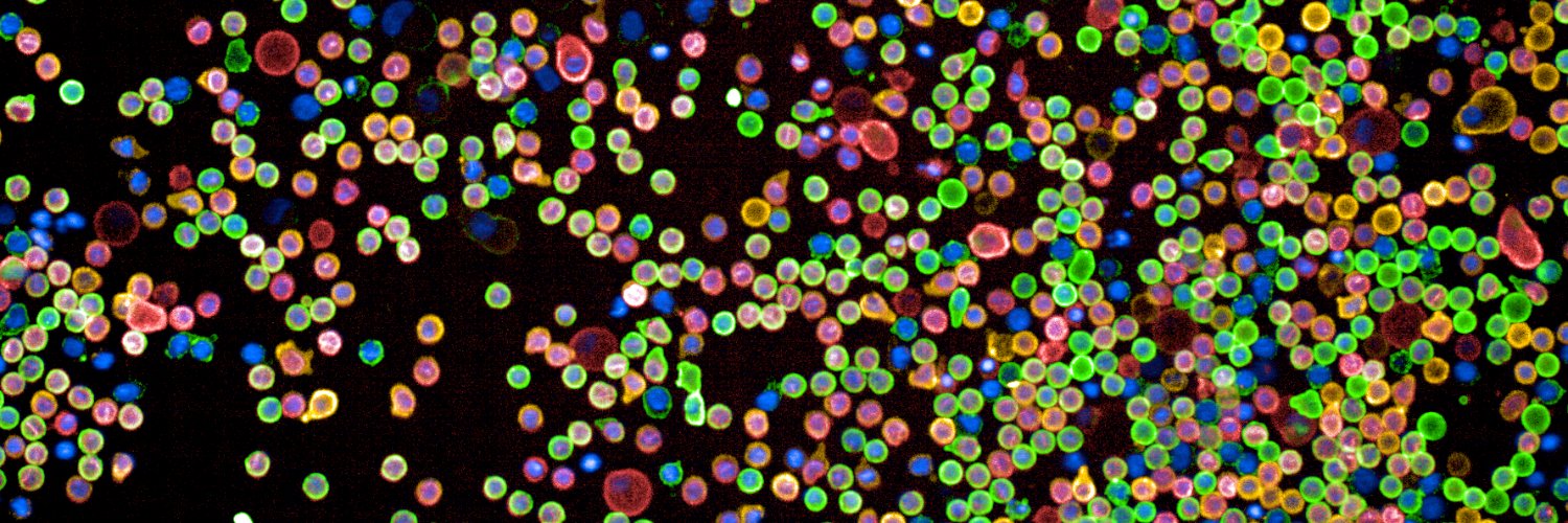Snijder Lab's banner