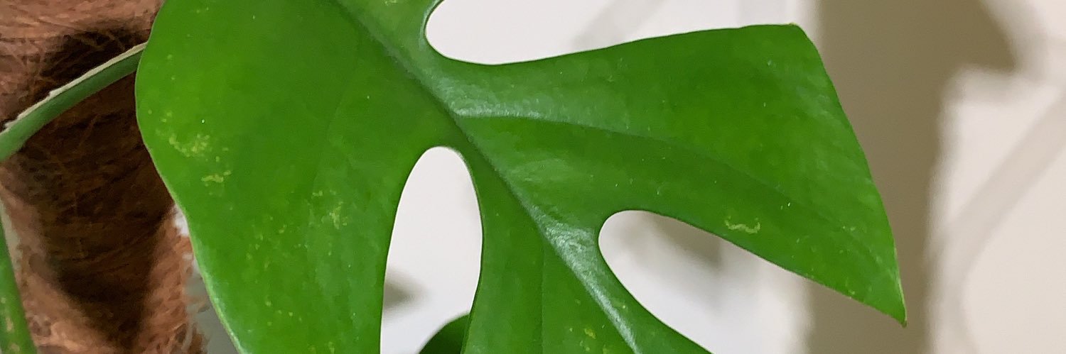 Carbz's profile banner image