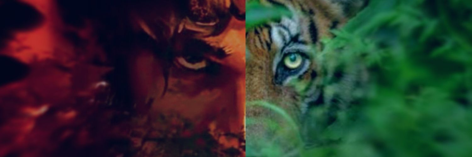 Pavankumarnv21's profile banner image