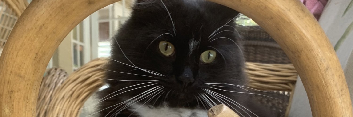Mr. Whisker’s banner