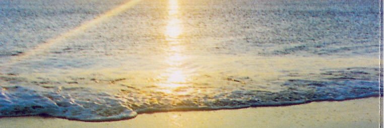 jrlicht's profile banner image