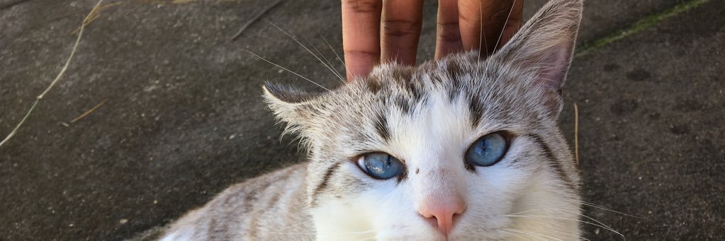 dudugermano97's profile banner image