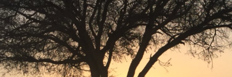 ابو نواف banner