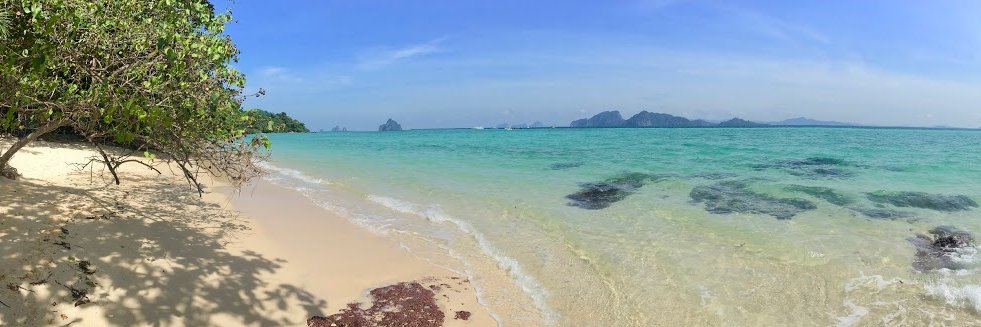 All Pigs Must Die 🇵🇹 🇮🇪 🇵🇸 banner