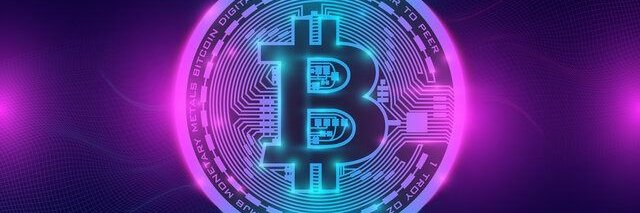 ☀️pingoo☀️ banner