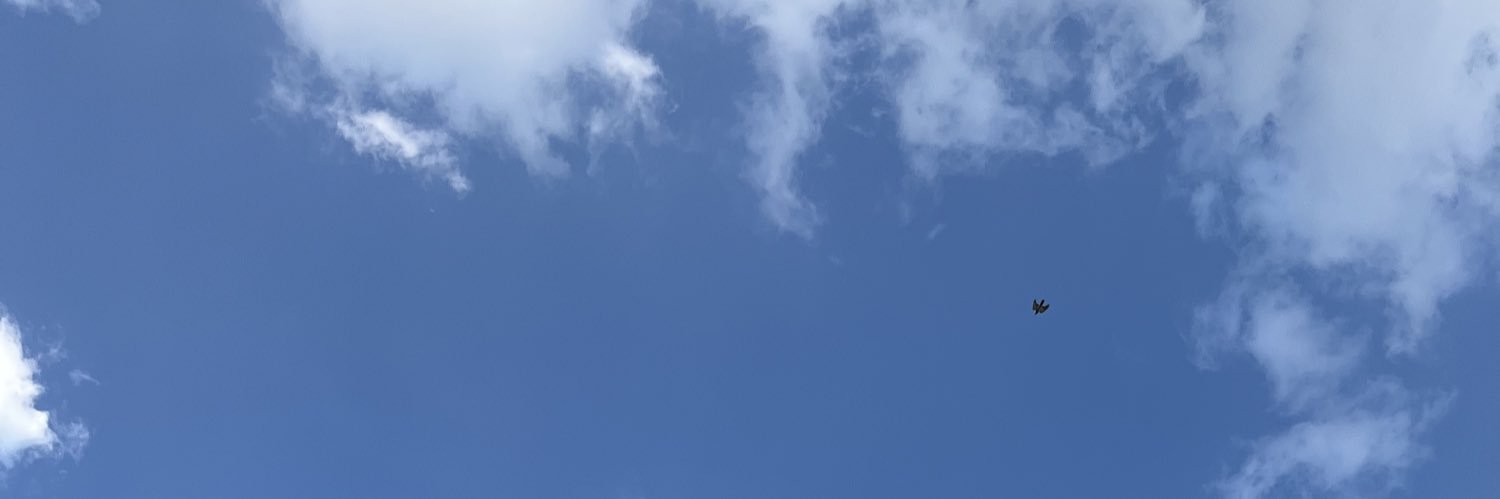 mll7xv's profile banner image