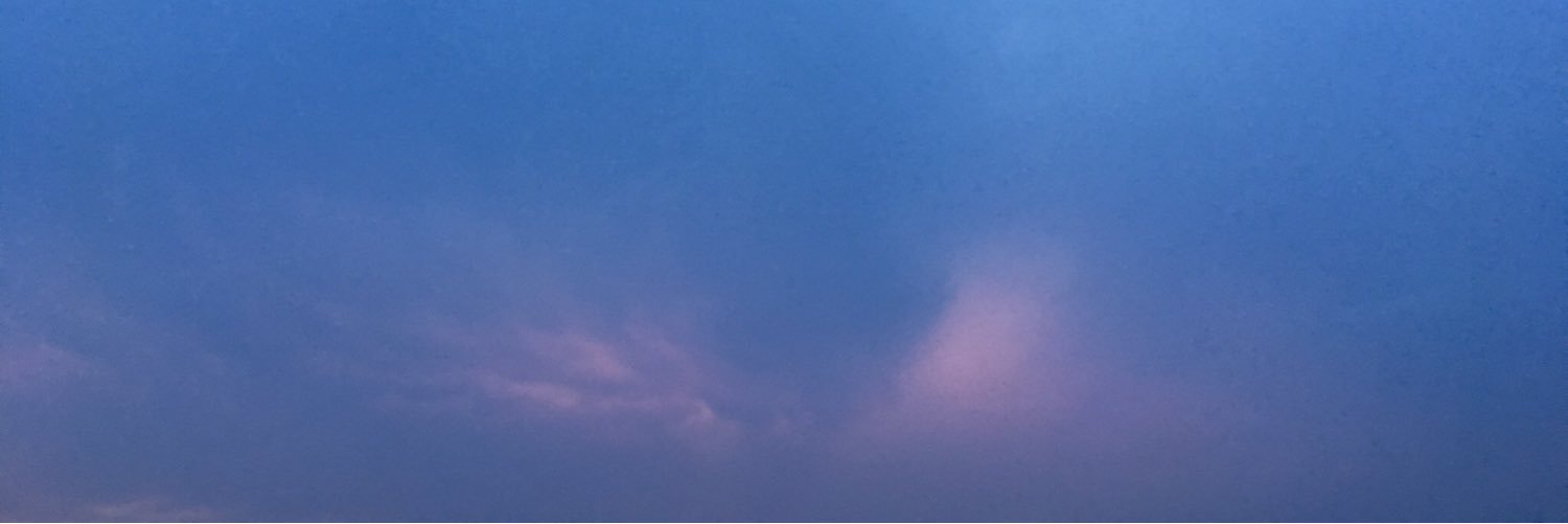 rochellearose's profile banner image