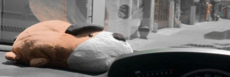 slow respon banner