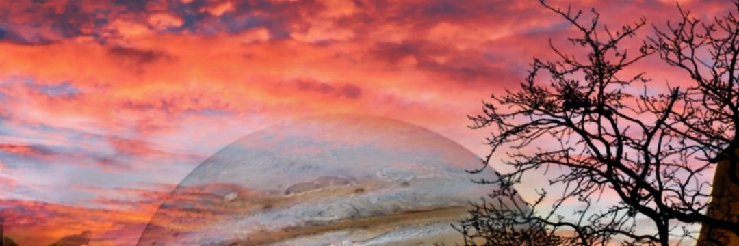 NFTSAMAR1's profile banner image
