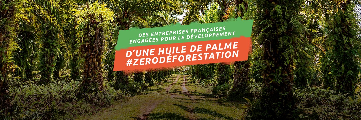 Huile de palme durable banner